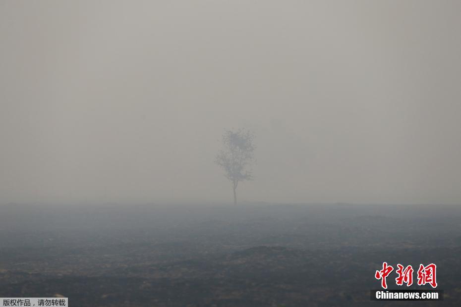午夜秋霞无码鲁丝A片一级