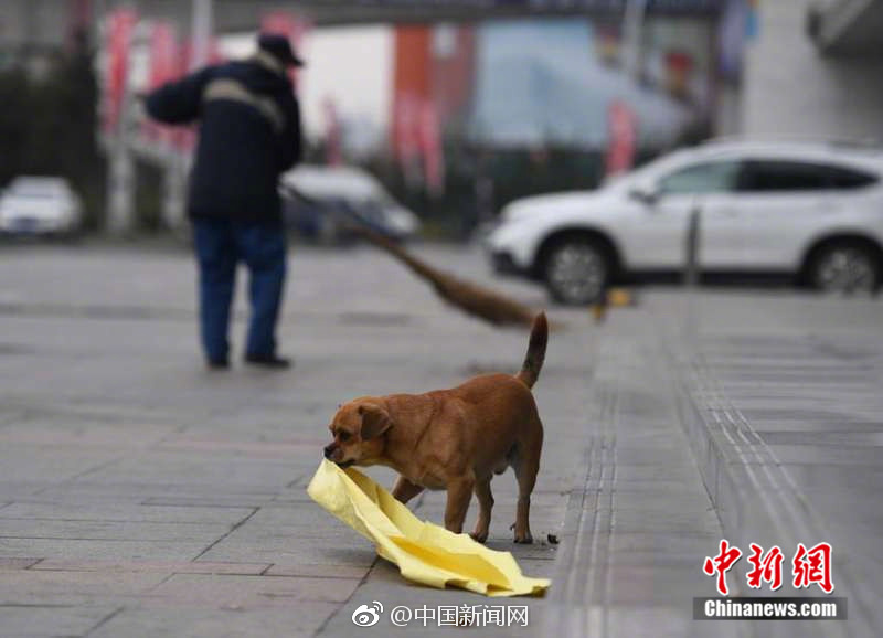 小南被 羞羞动漫进入