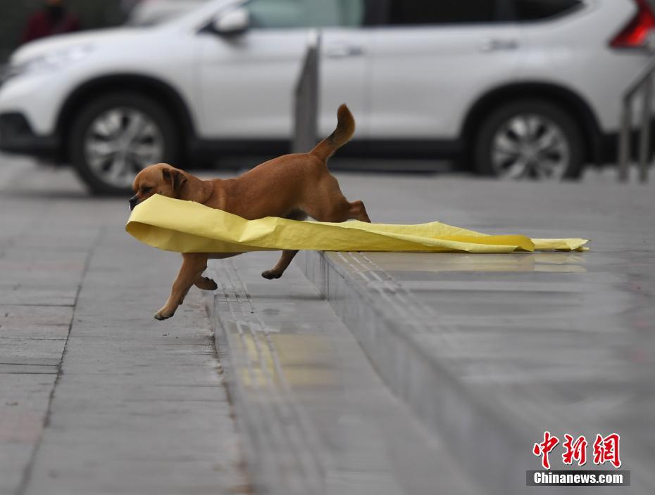 女性脱 给我揉 游戏