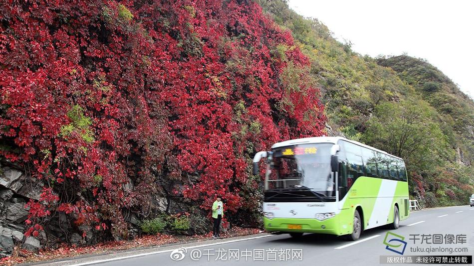 背著爸爸偷偷跟媽媽做愛
