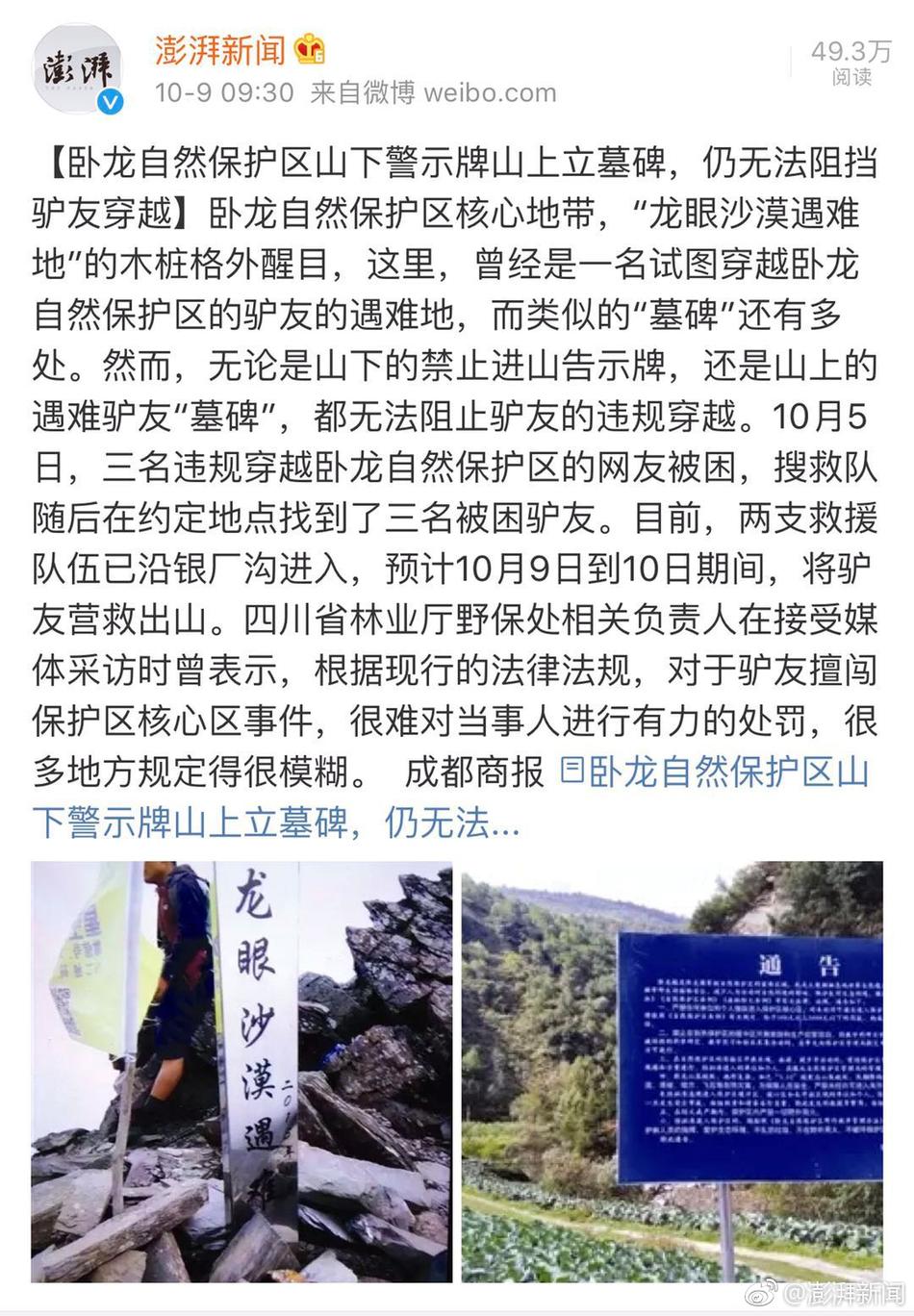 风流肥女大BBBBBB
