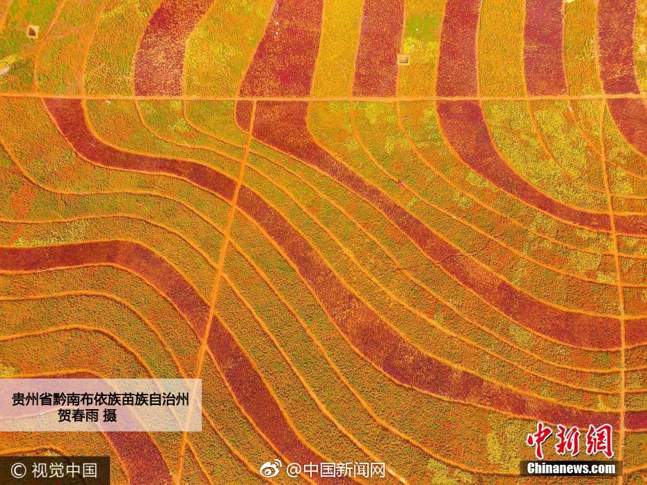 国产91  丝袜在线播放