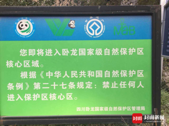 姚子羚 性愛 視頻