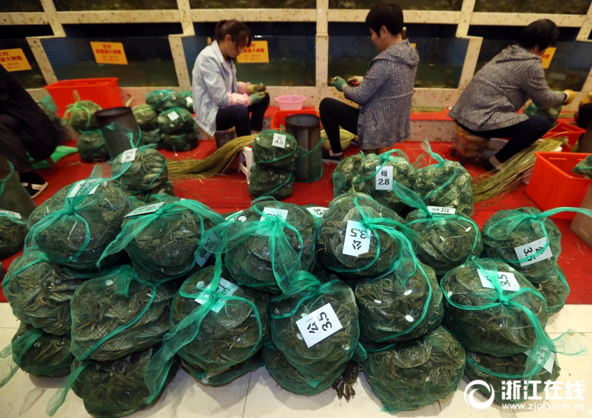 被老头伦流澡到高潮H小雪