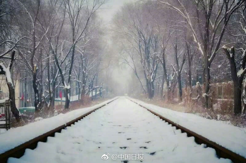 电车痴汉伦理片