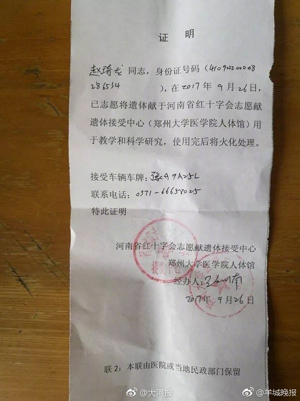 中国丰满老女人肏屄