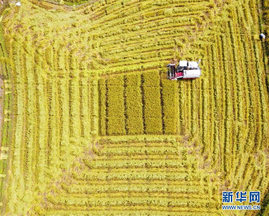 奇米影视7777