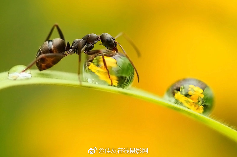 91久久国产综合久久91大便