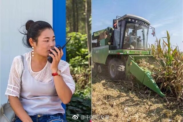 Free性玩弄熟女Hd老熟妇