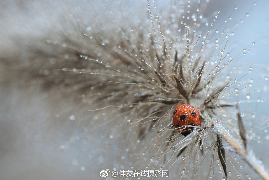 熱褲自慰