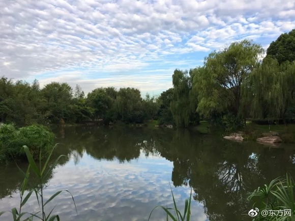 黄中黄色网站