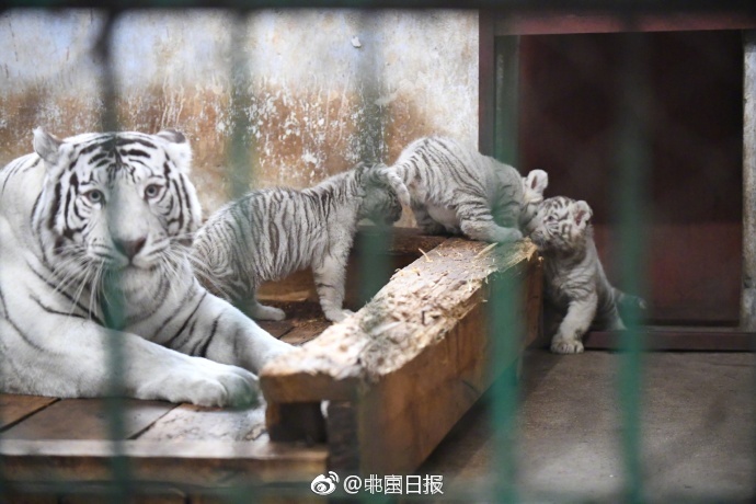 林静公交车伦流澡到高潮