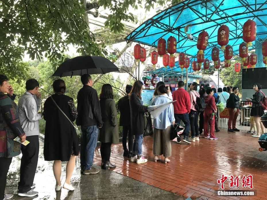 美女隐私秘 无遮挡网站