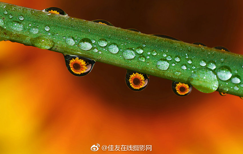 超碰100