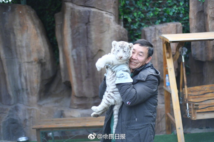 二男一左一右吃奶