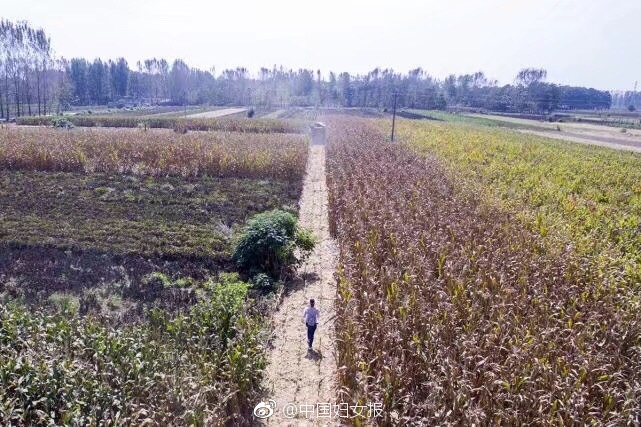 苍井空双人被躁120分钟