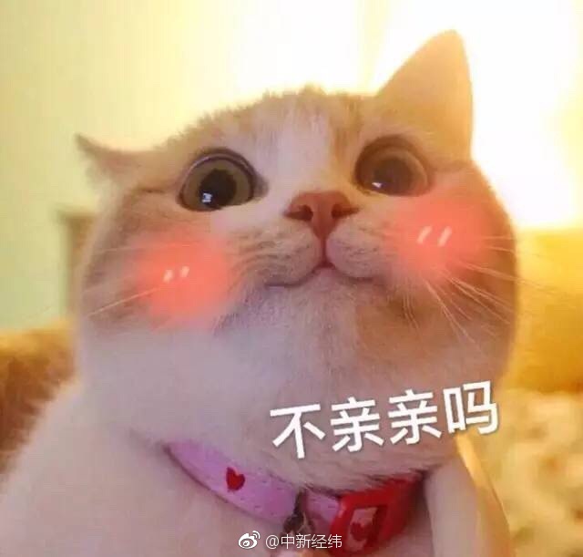 成91人18 美女