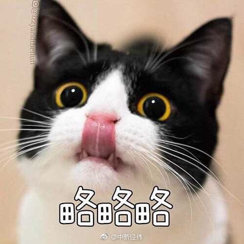 国外性直播视频