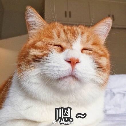 亚洲中文字幕一区