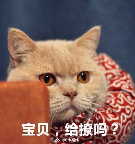 一级??片内射偷拍偷拍亚洲