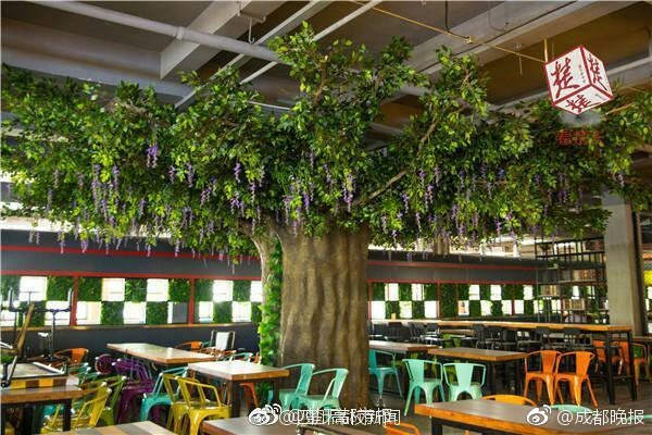 黄色网址免费在线