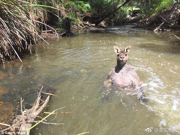 操逼软件。