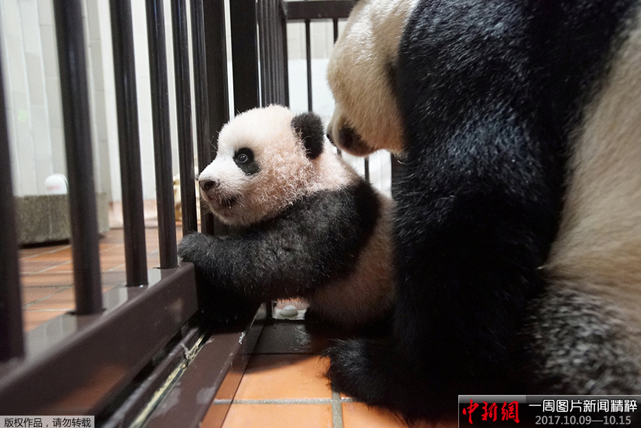巨乳人妻
