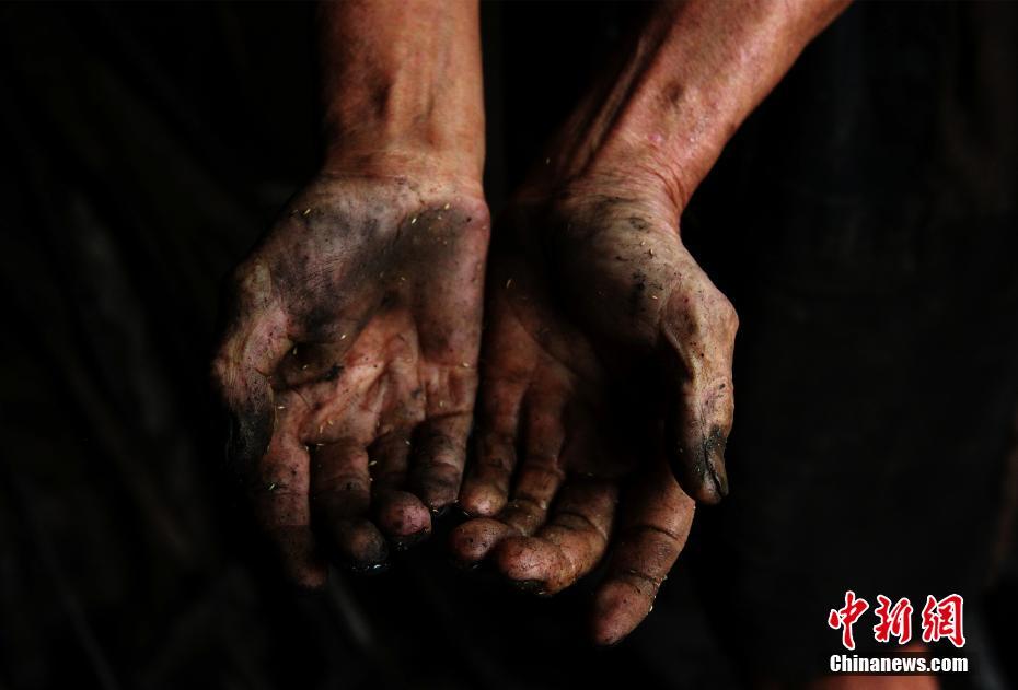 搡老女人老妇老熟女Hd