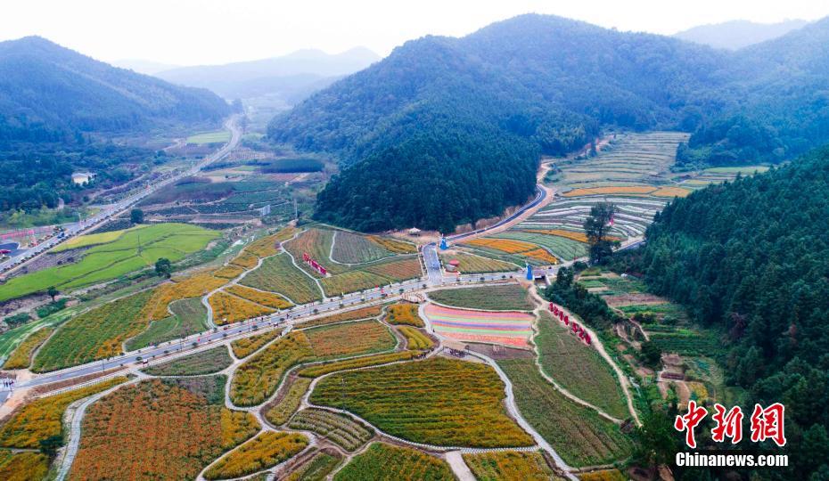 国产又大又长又粗