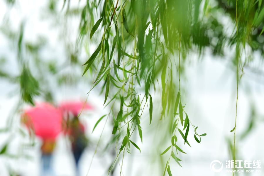 成人毛片