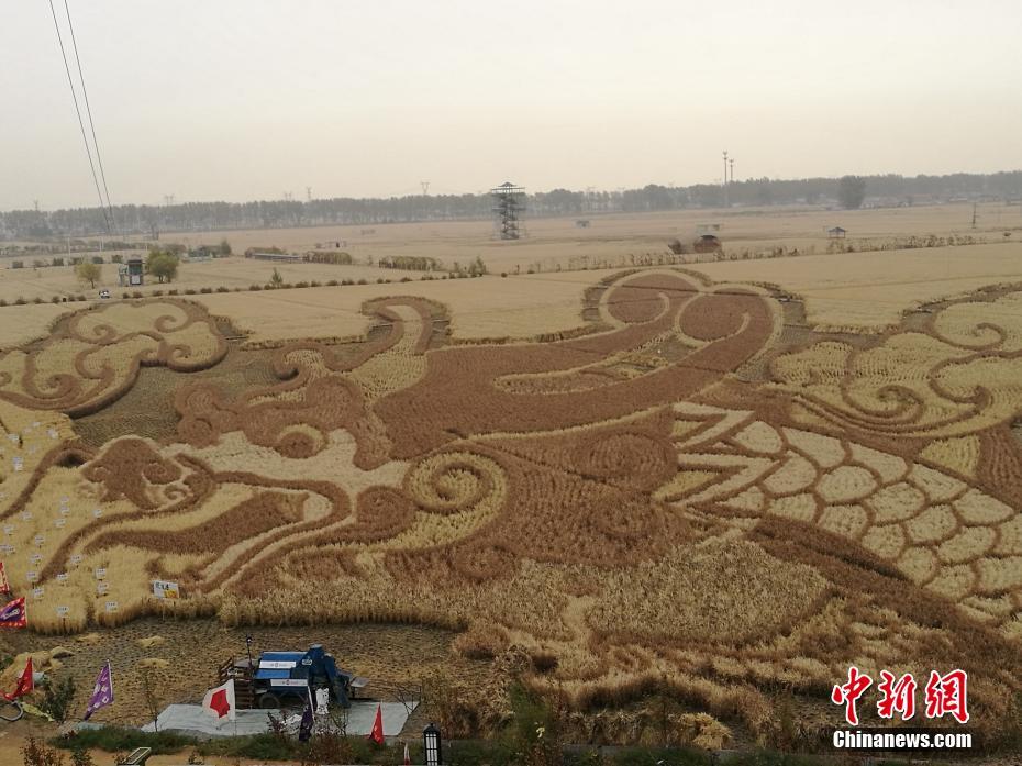 老师Xxxxhd69