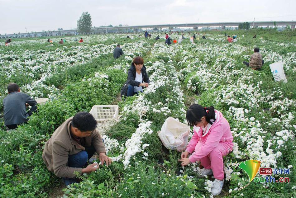 波多野结衣无码精品视频