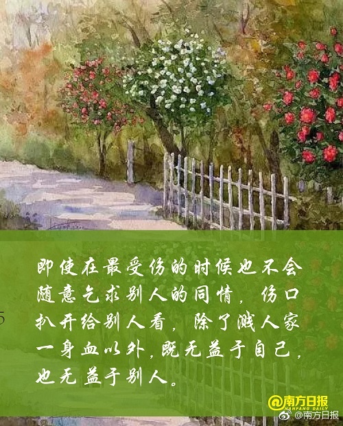 陷阱电影