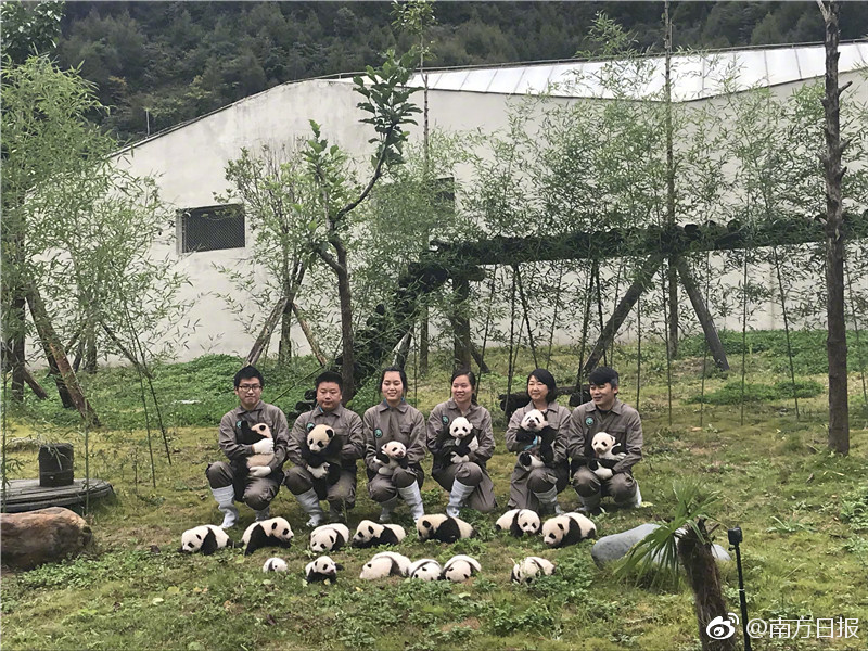 护士脱了精光让人吃秘 奶