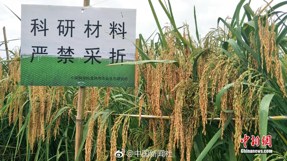 韩漫网站