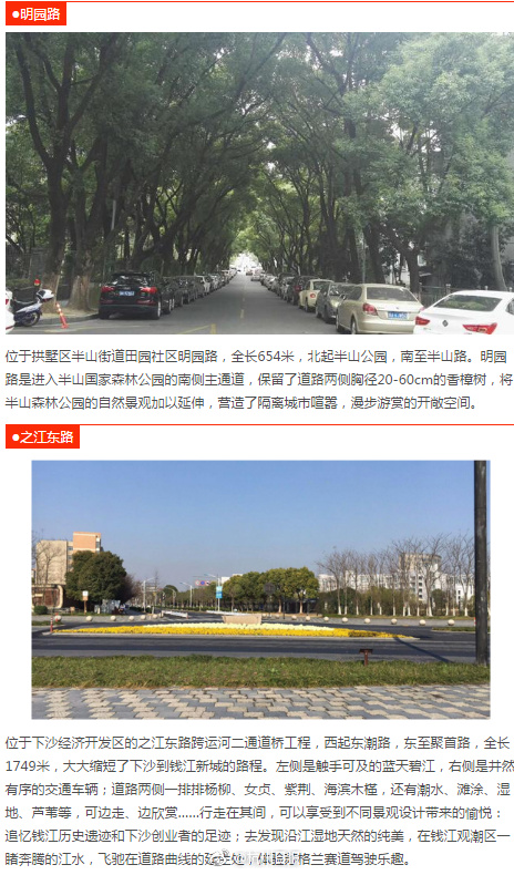 黄色 片 直播