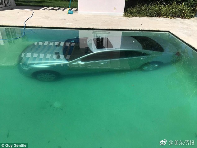 网址 成人