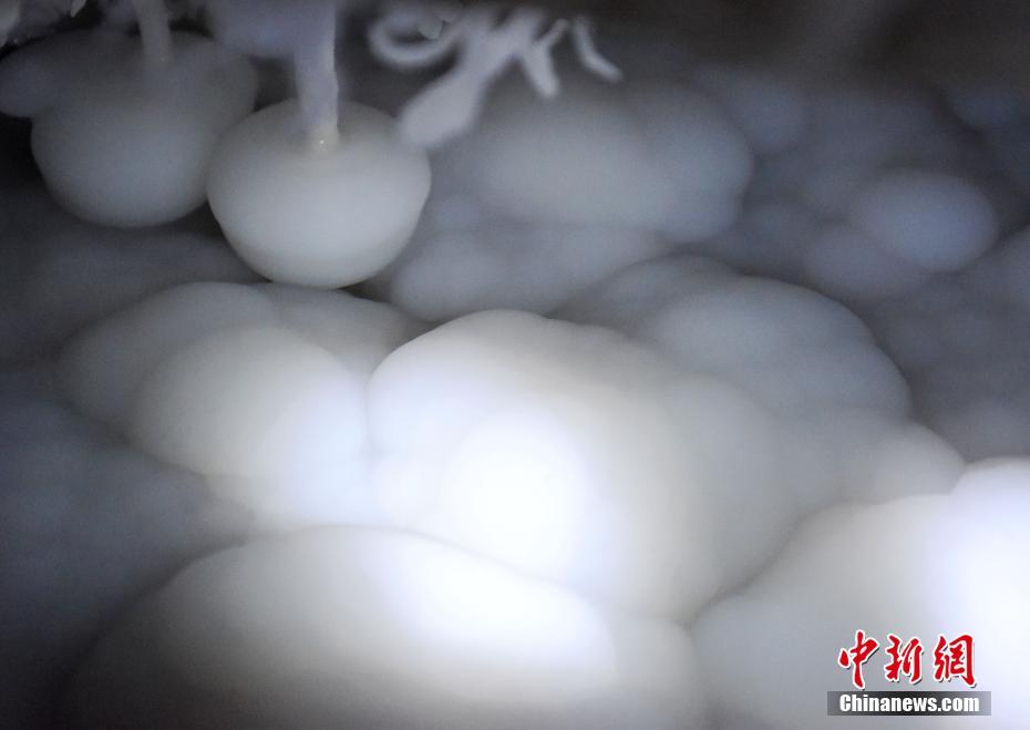 6l8毛片