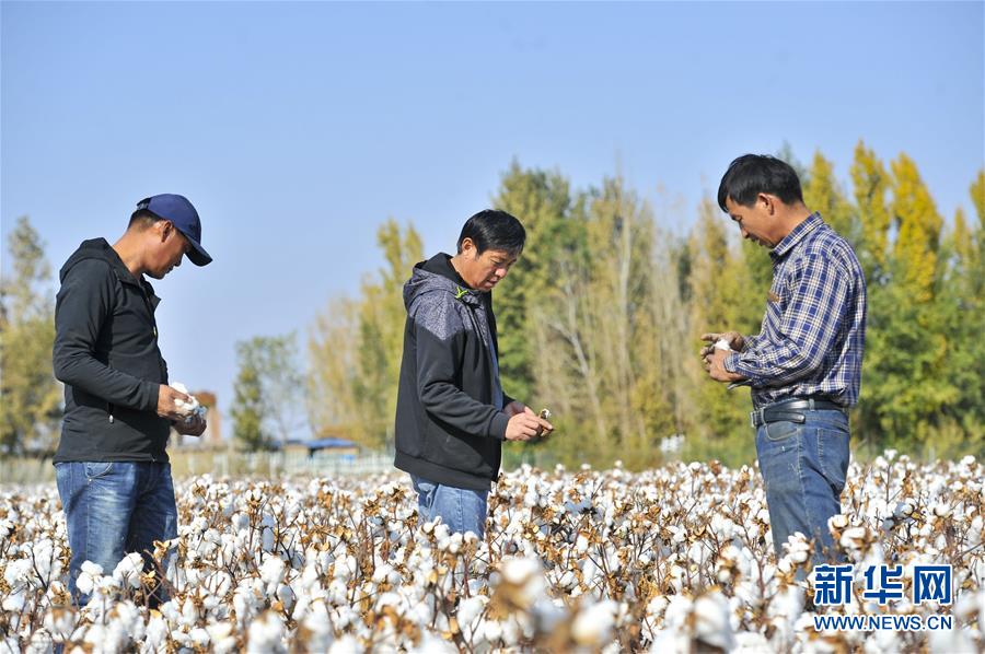 灌醉老师破了老师的处