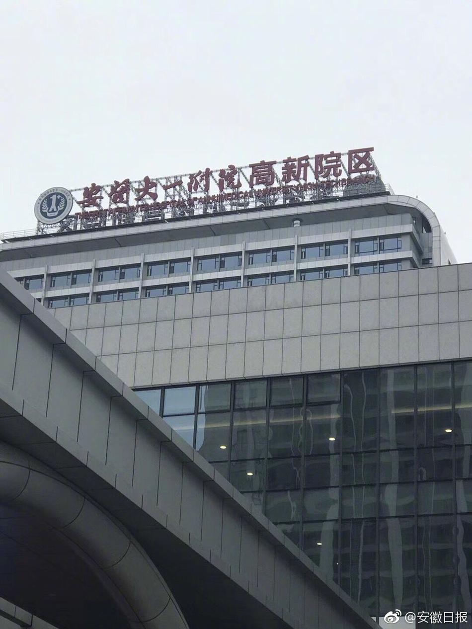 在线无码中文字幕一区