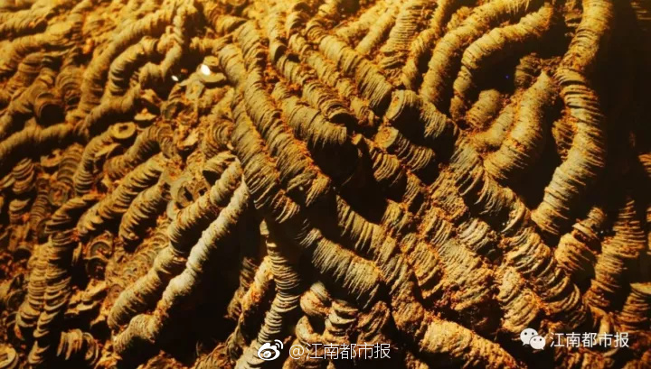 无码十免费