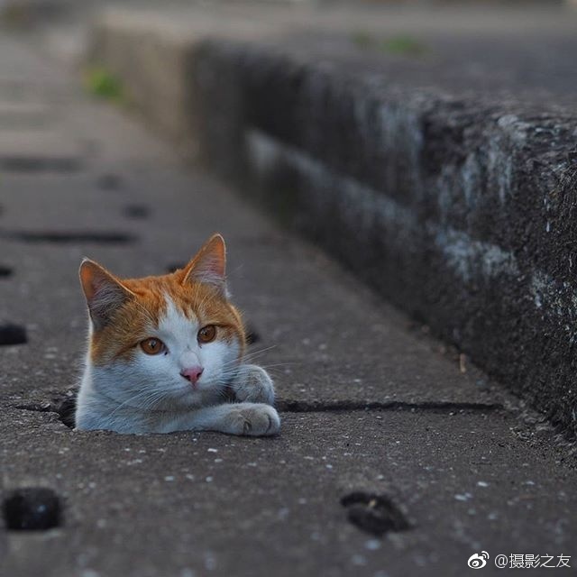 世界 色情 网址