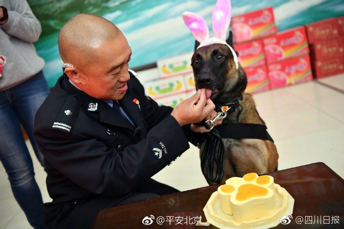 欧美 成人 影院