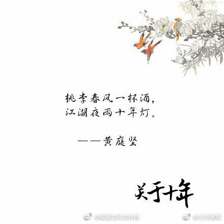 50秒免费黄色视频