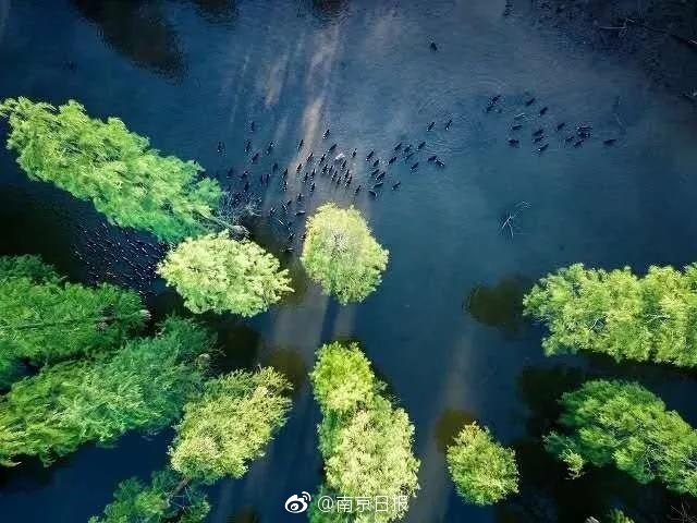 请播放台湾全黄色三级片日本三级