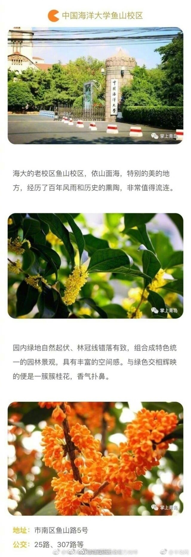 女人扒开秘 让男人桶爽韩剧