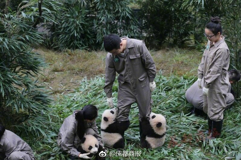 暗网