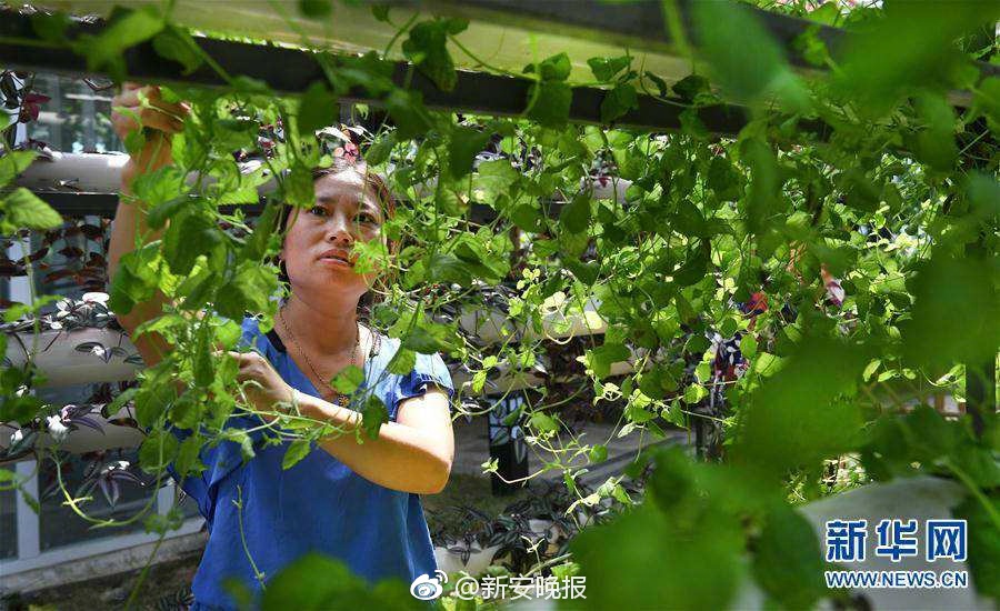 小舞 扒腿让我c的电影