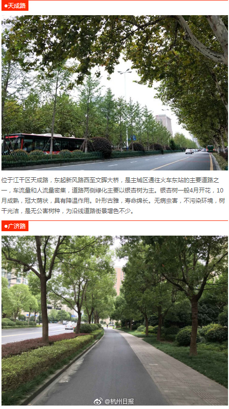张柏芝艳照无码一区二区三区