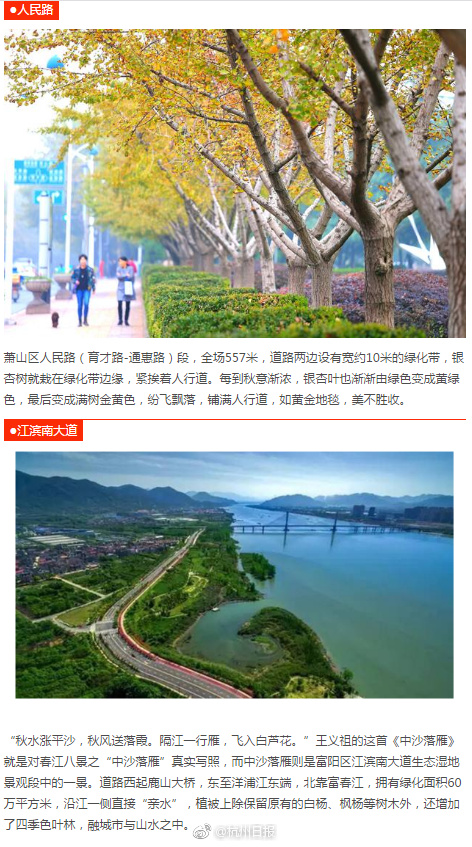 中文字幕黄色视频网